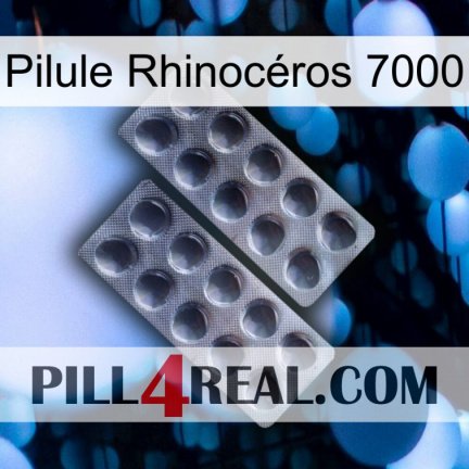 Pilule Rhinocéros 7000 31